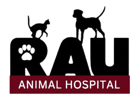 Rau Animal Hospital Home