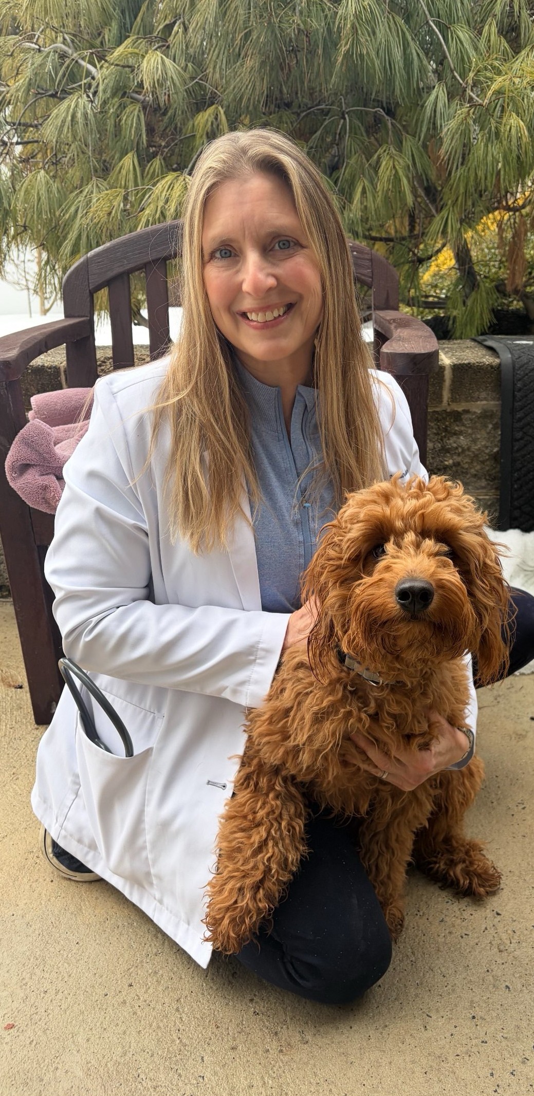 Dr.  Eisenstein, DVM