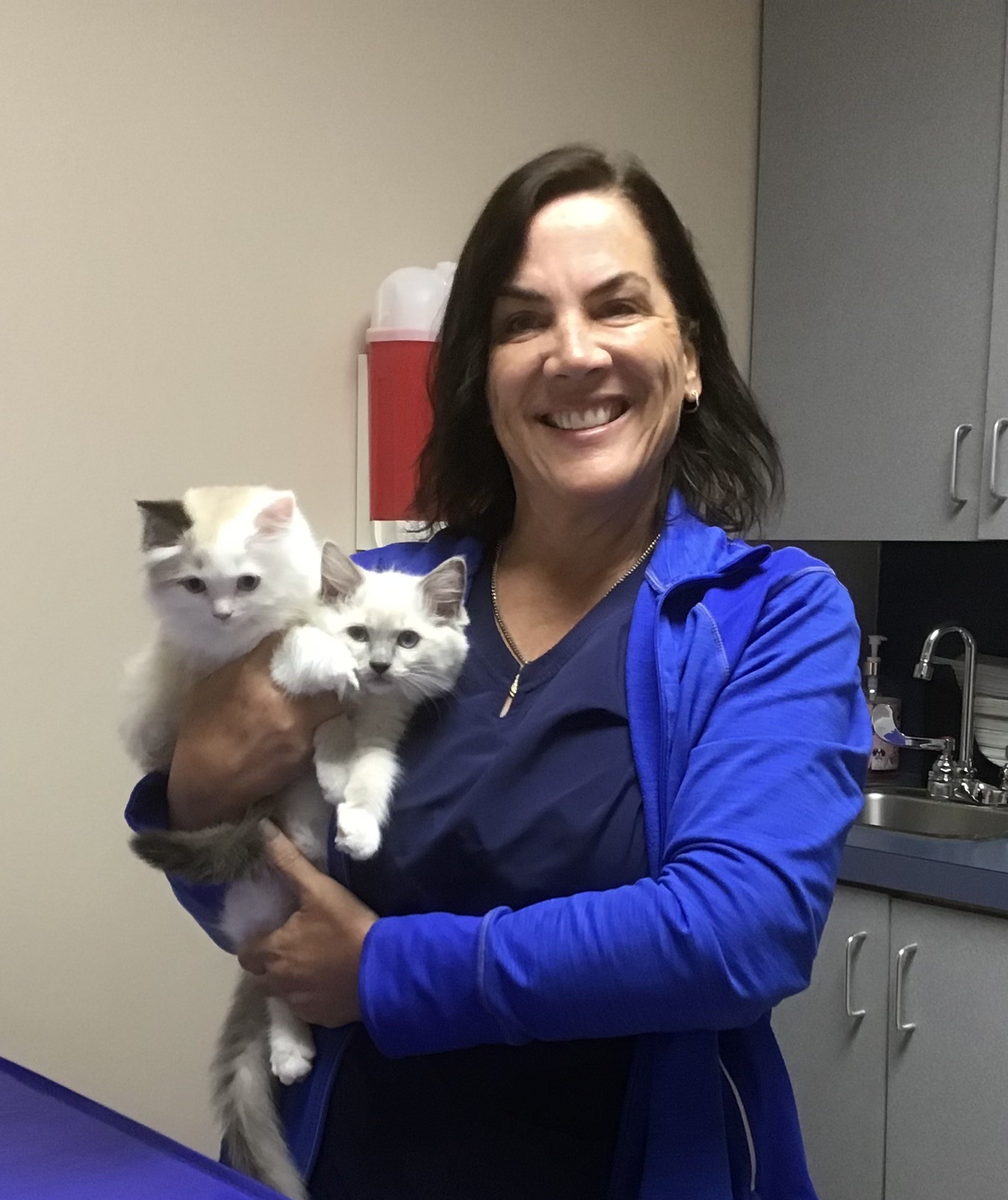 Margaret  Murphy, DVM