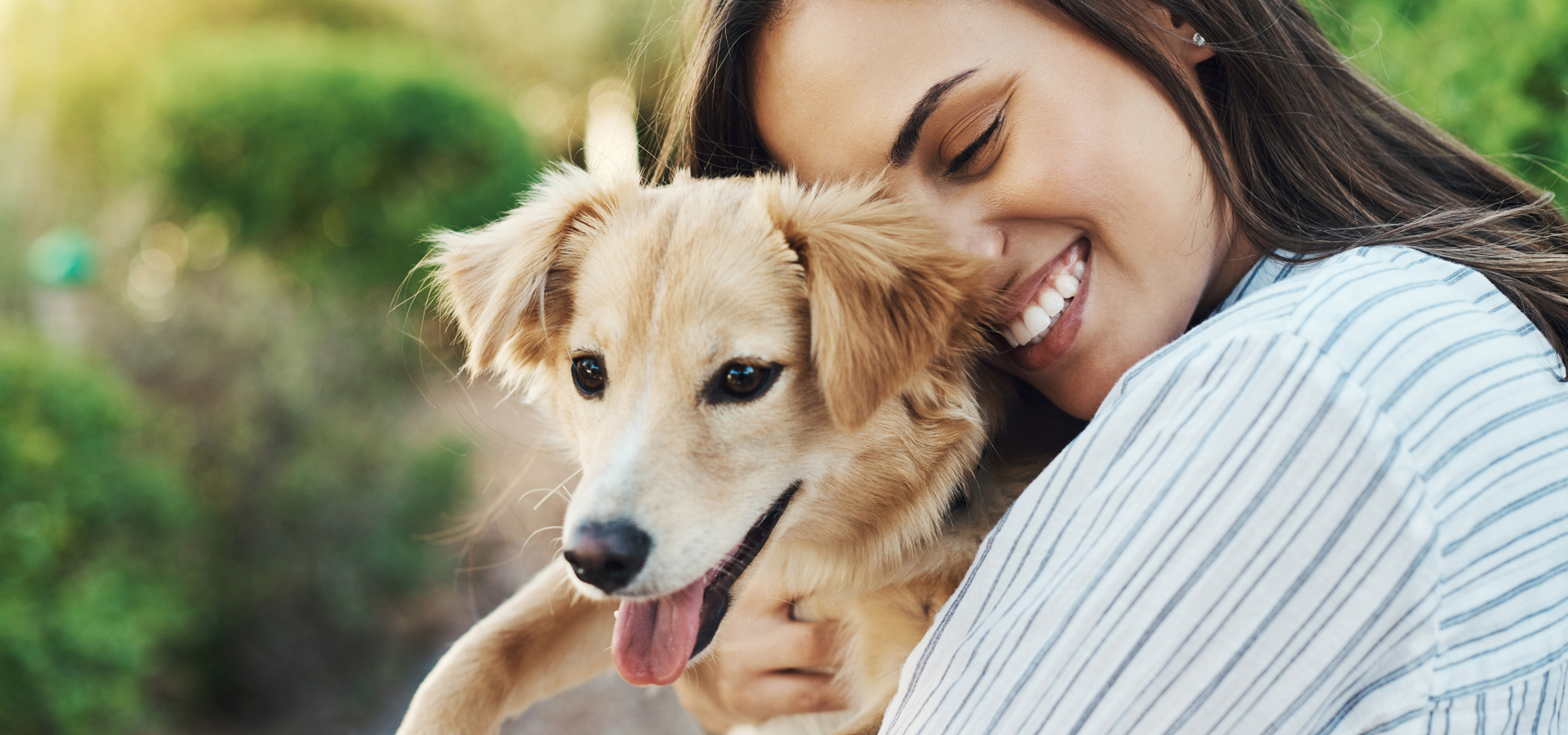 Glenside Pennsylvania Veterinarians