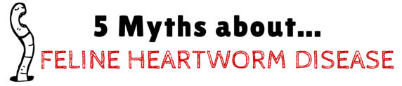 5-myths-feline-heartworm