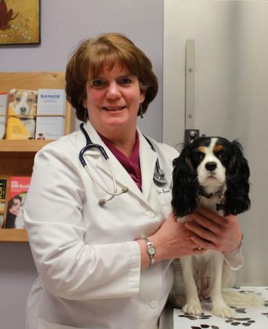 Dr. Jane Kirchhoffer | Rau Animal Hospital