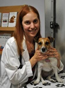 Dr. Wendy Zimmerman