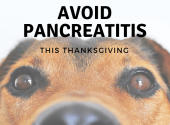 Avoid Pancreatitis This Thanksgiving