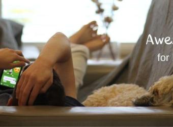 Awesome Phone Apps for Pet Owners