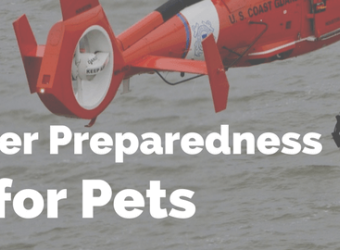 Disaster Preparedness Kits For Pets