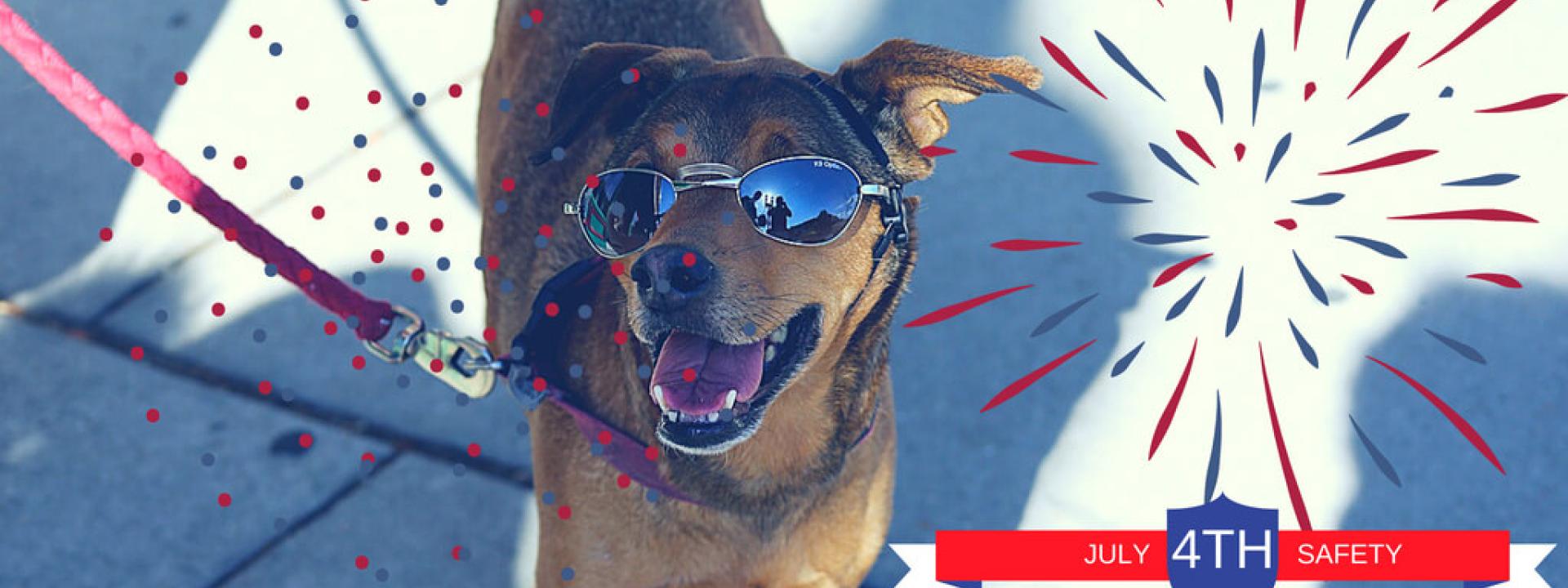 veterinarians near me