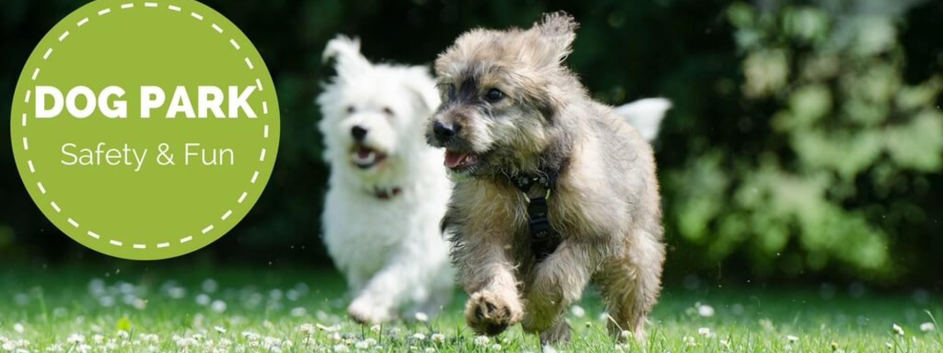 veterinary clinics near me