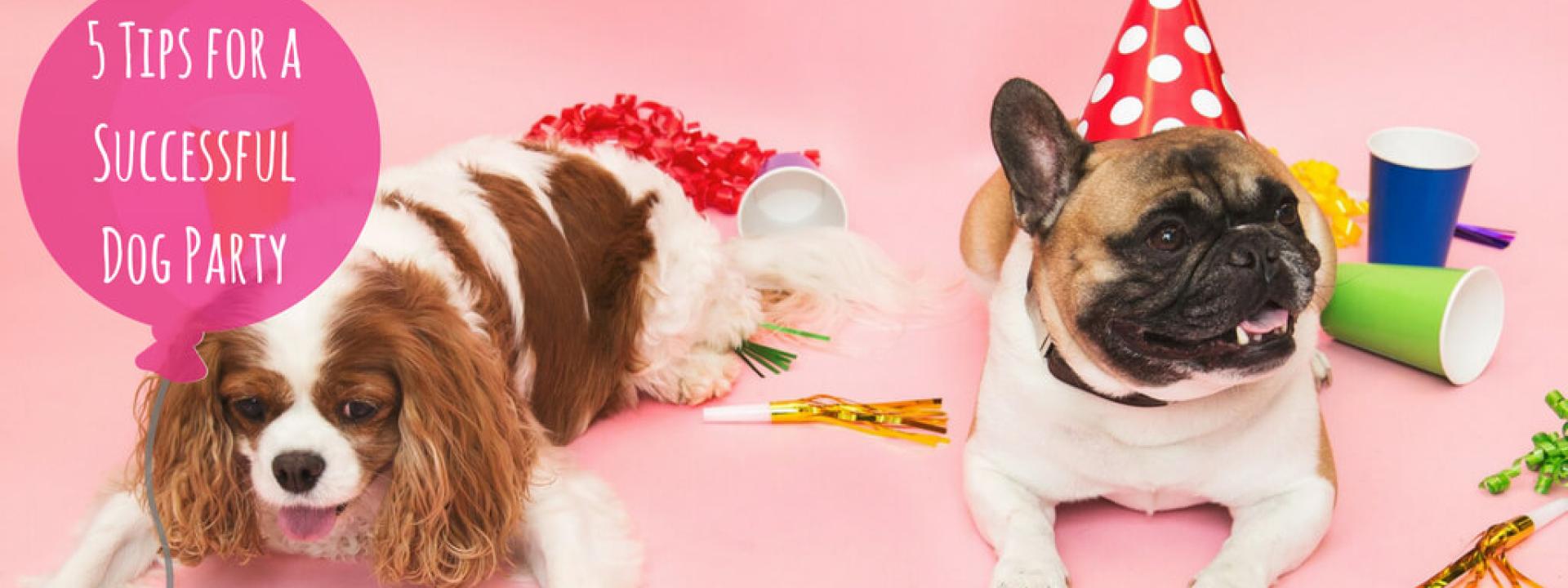 veterinarians
