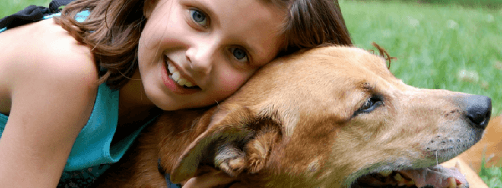 veterinary clinic