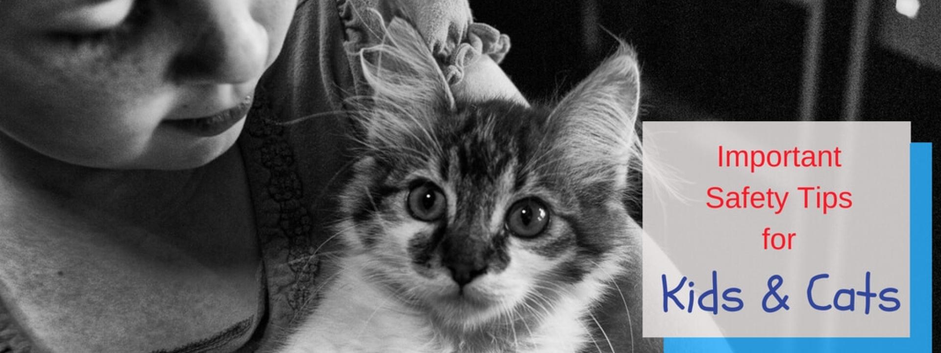 pet doctor