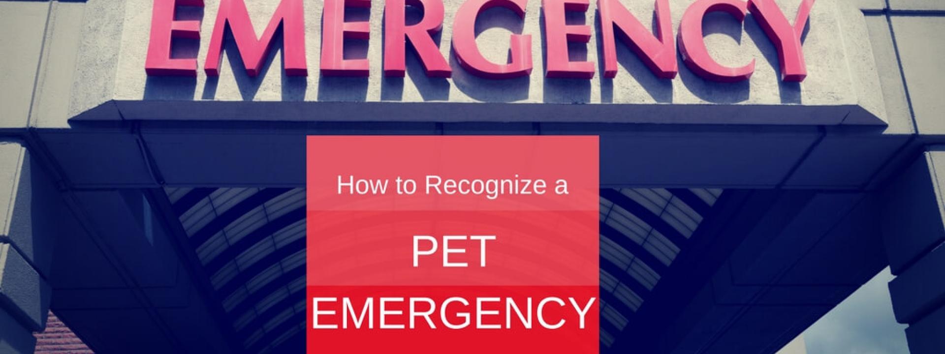 local veterinarians